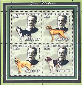 Louis Pasteur and Dogs